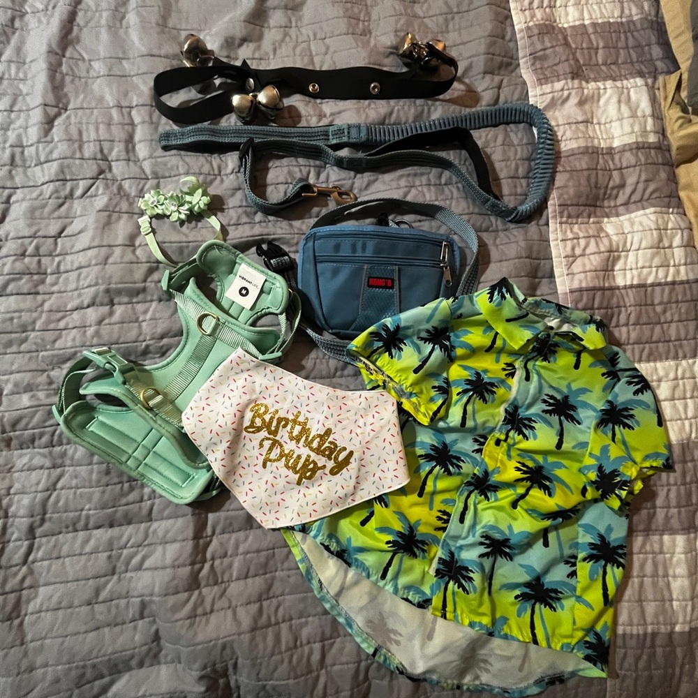 Dog Accessory bundle - Medium Size - Picture 5 of 9